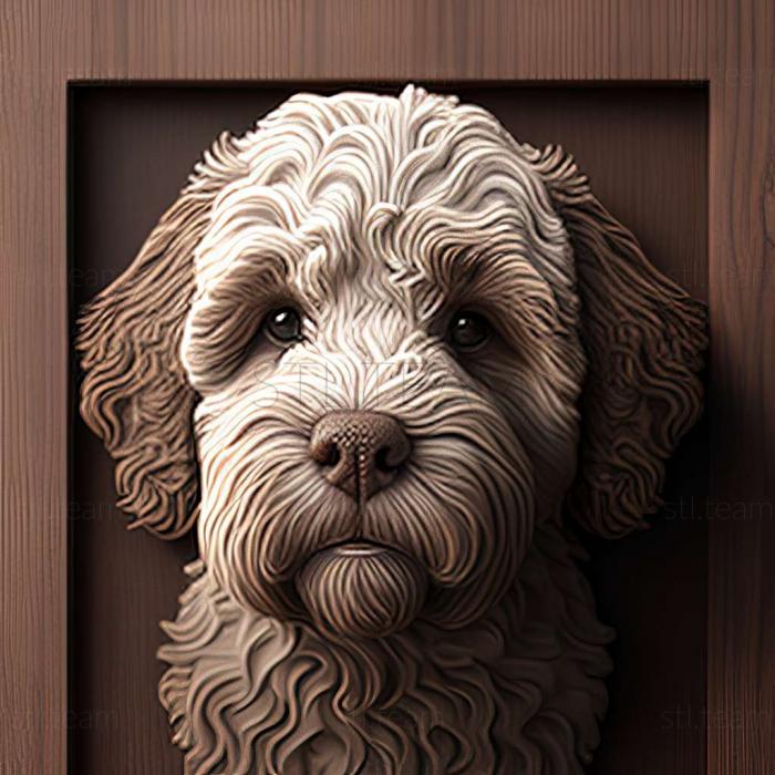 3D модель Собака Лаготто Романьоло (STL)